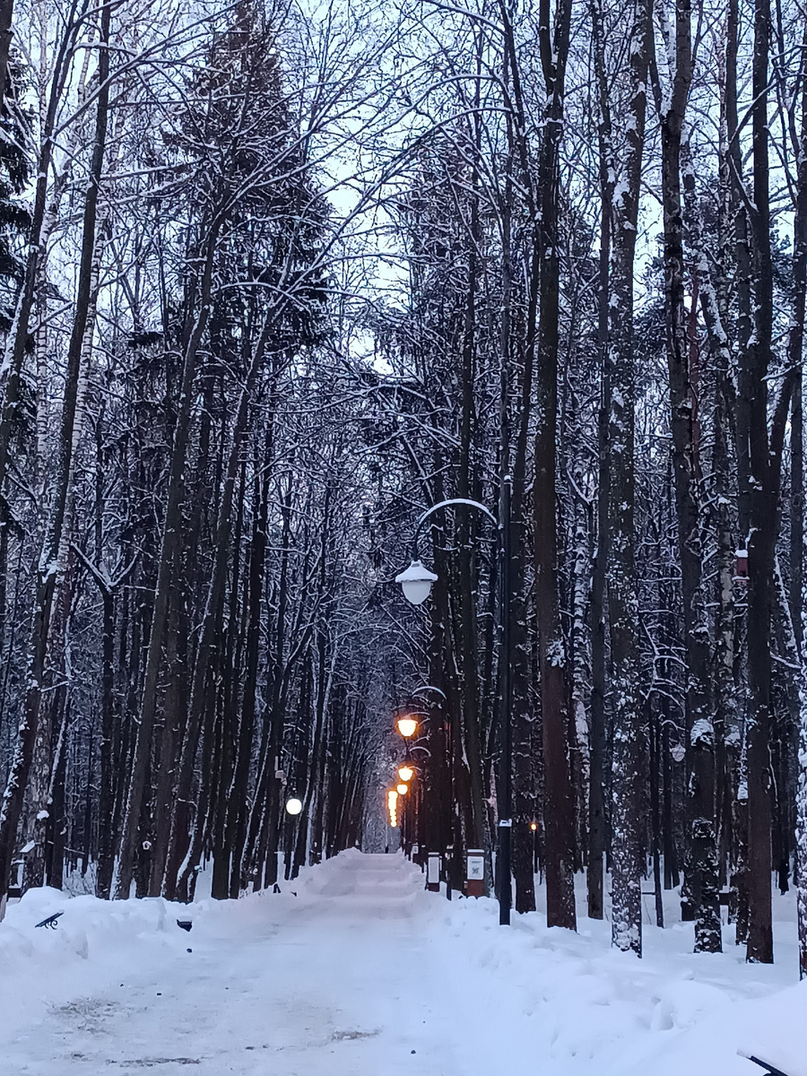 Фото мое. Зима 2024, когда зима похожа на зиму