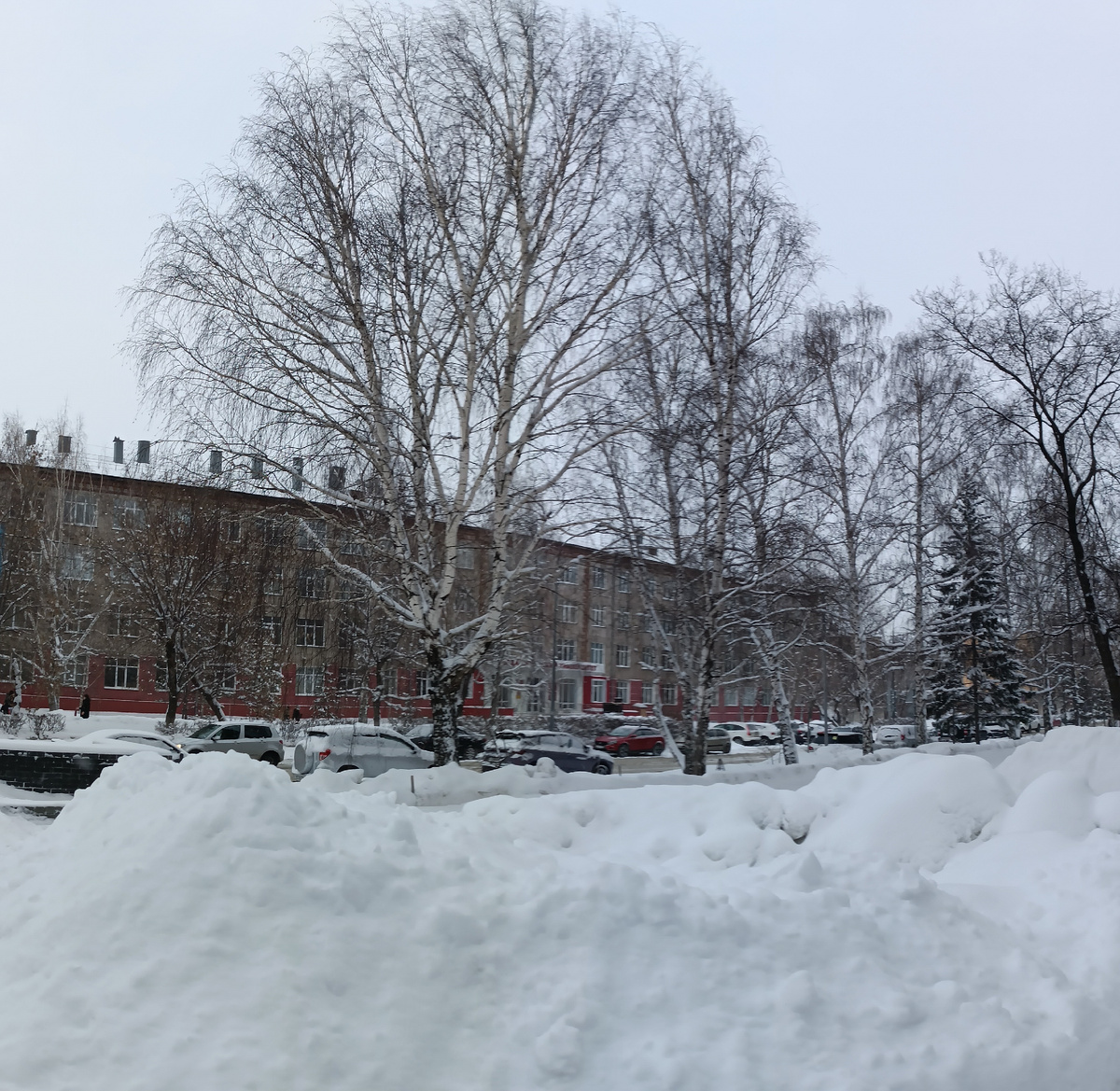 Где-то на просторах моего города. Фотография автора, январь 2025 года. 