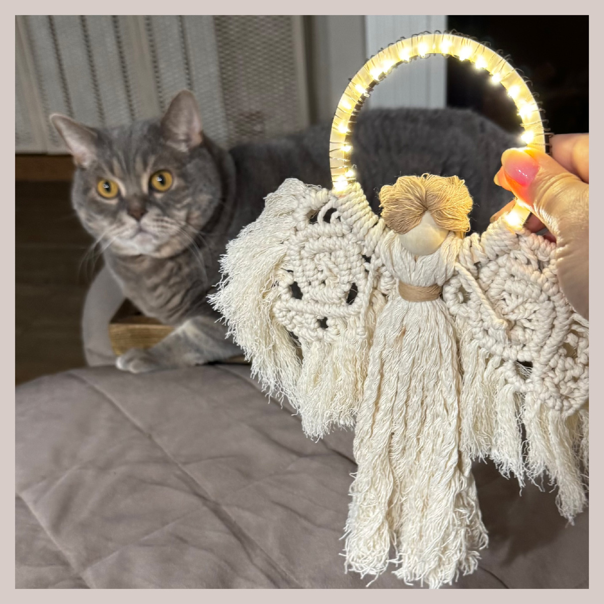 Нафига мне это надо?😸