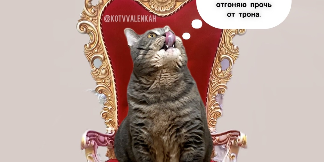 МЕМОрандум субботы ну и наплели мы 😼