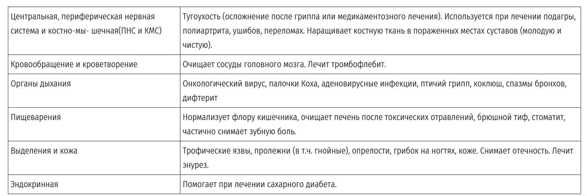 Космоэнергетика Враков Сергей Александрович - ученик Петрова В.А
