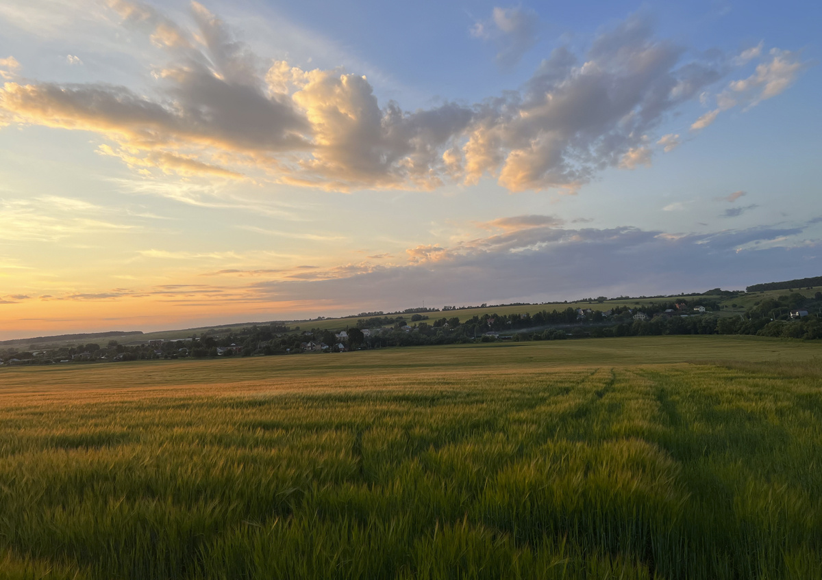 Фото © «Московская газета»