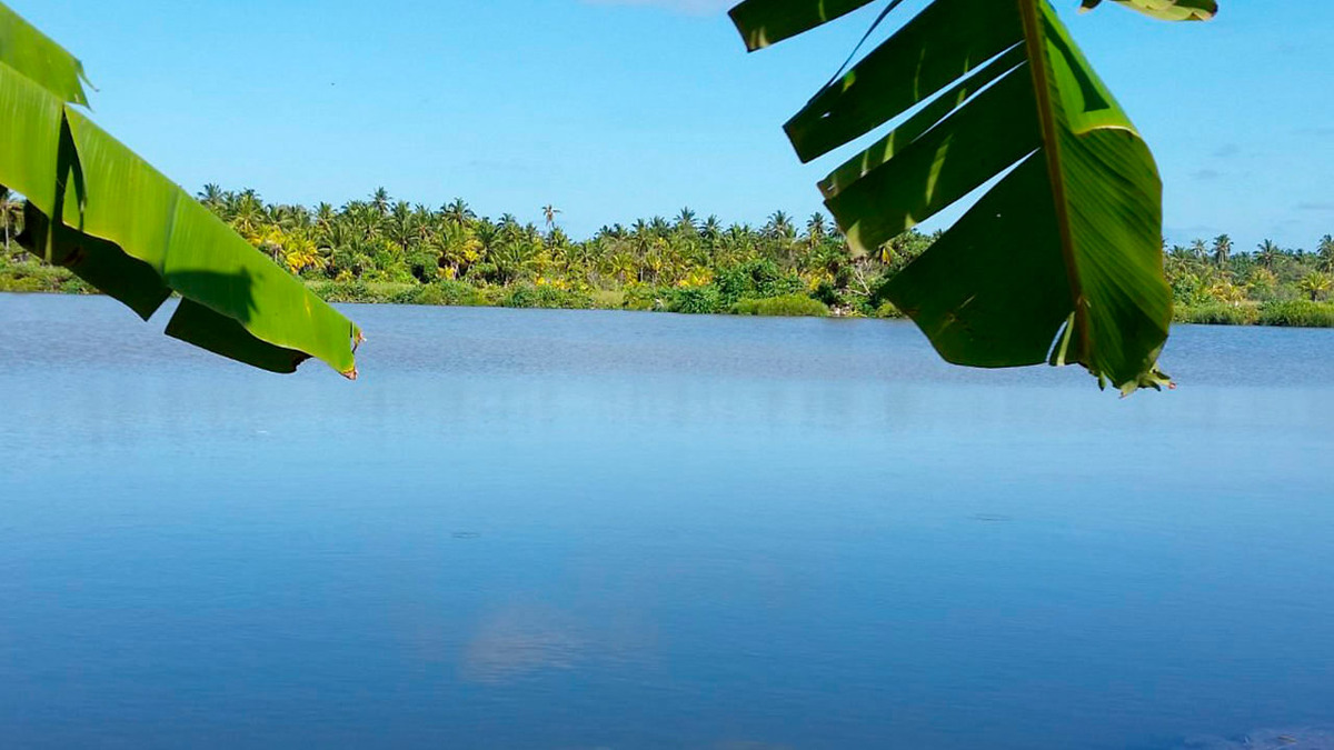 Озера острова Фувамула – исключение из правил