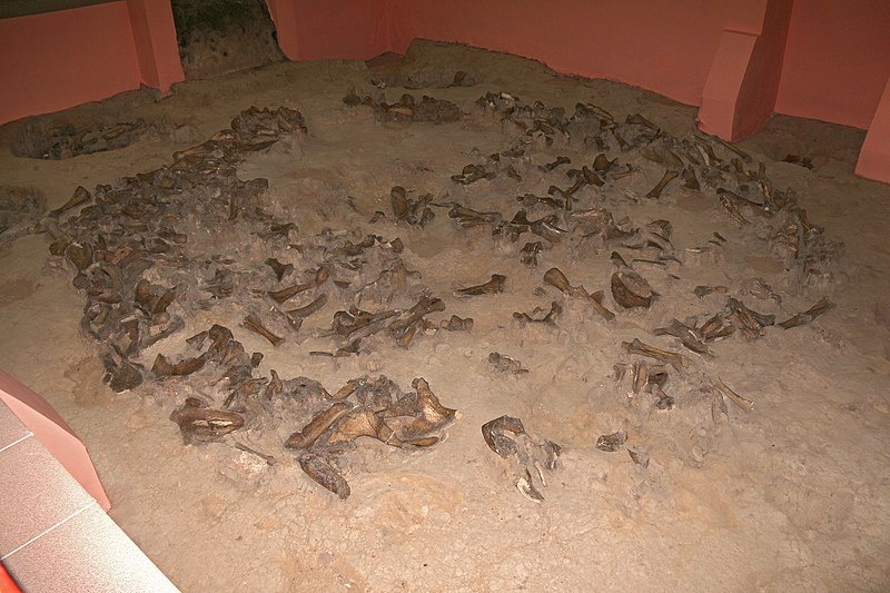 Основание жилища. Авторство: evatutin. Собственная работа, https://commons.wikimedia.org/w/index.php?curid=73290010