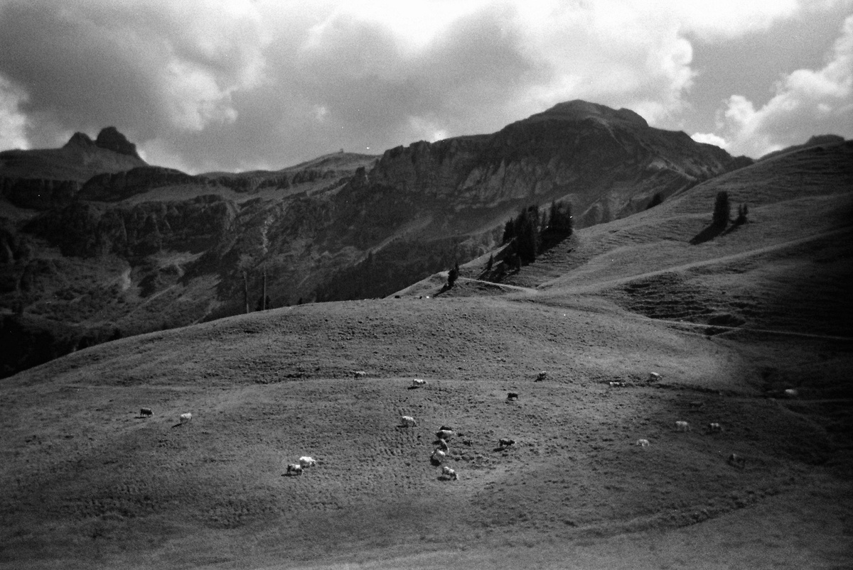    Вот кадр австрийского пейзажа, сделанный на Kodak FunSaver, перезаряженный на чёрно-белую плёнку — в комплекте по умолчанию идёт цветная / Источник: lomography.com