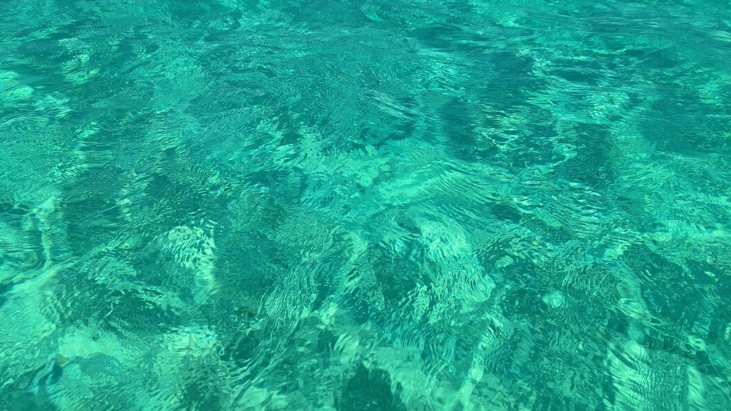    Максим Константинов/Globallookpress