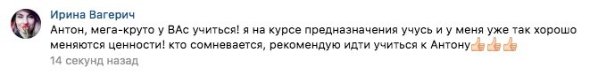    Реальные отзывы Антон Сочешков: курс предназначения, поиск предназначения, изменение ценностей, саморазвитие, личностный рост, онлайн курс, целеполагание, самоосознание, жизнь мечты, любимое дело,