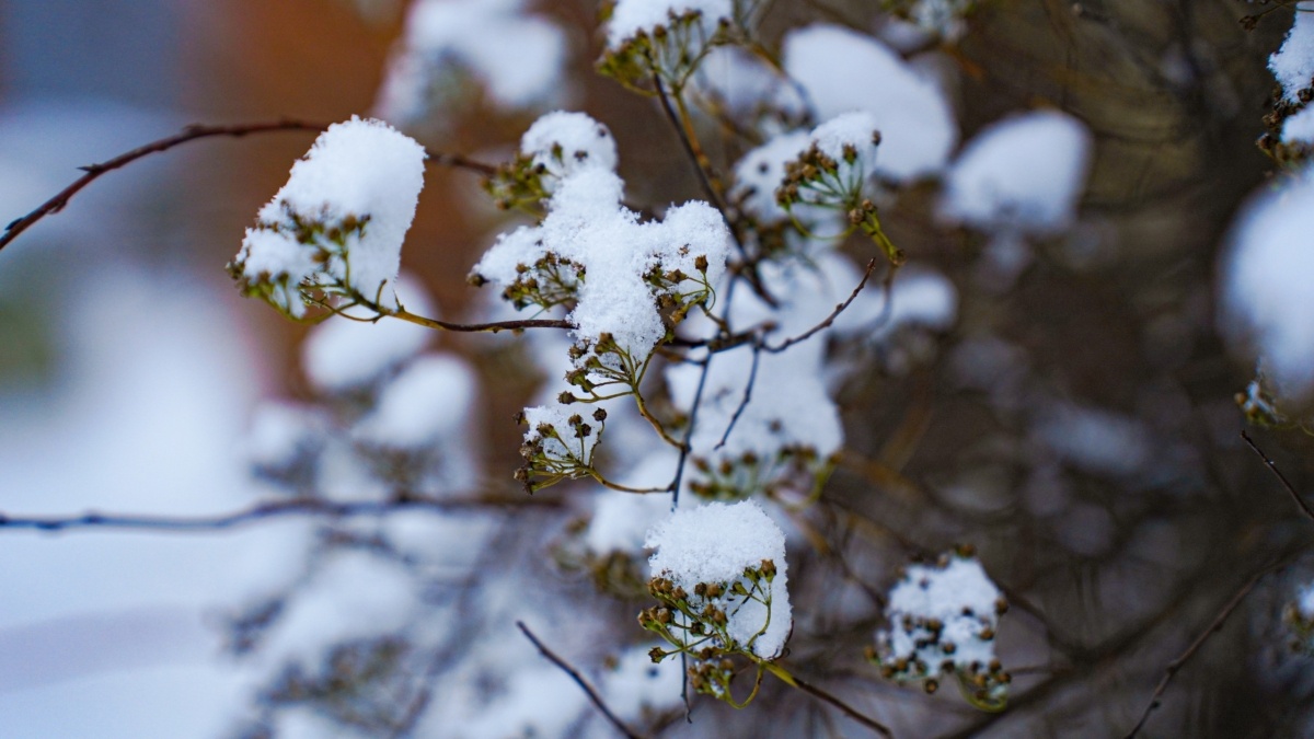 Светлана Мулыкина📷
