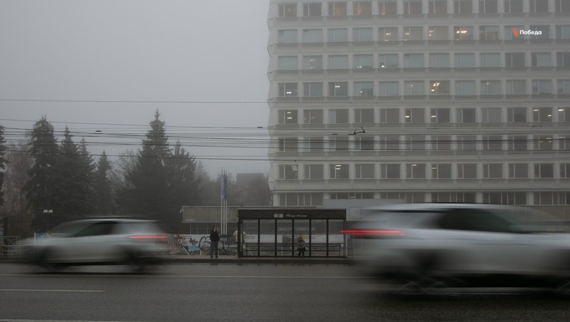      Фото: Валерия Алтухова / / ИА «Победа26»