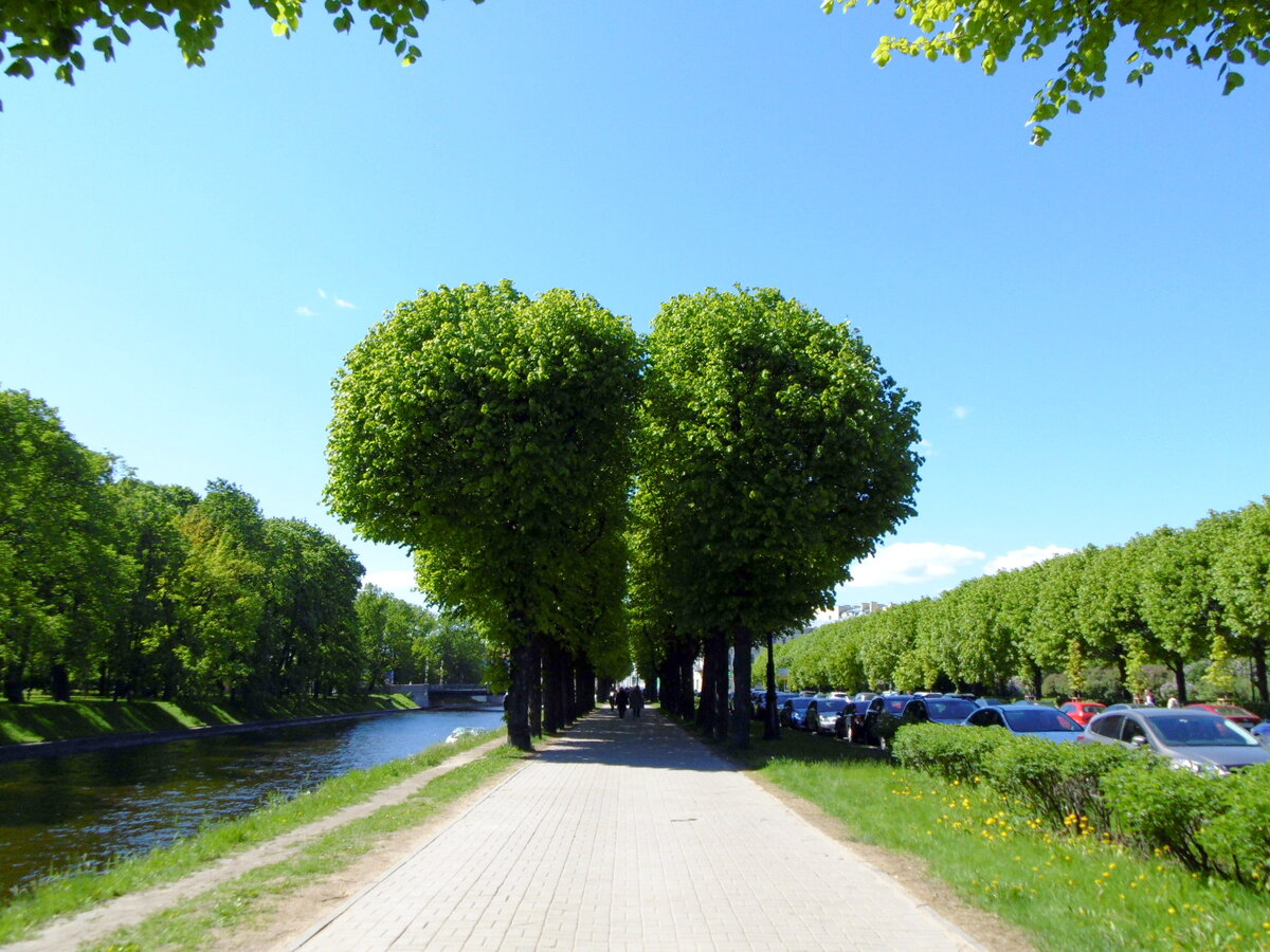 Сердца у Мойки. Фото автора