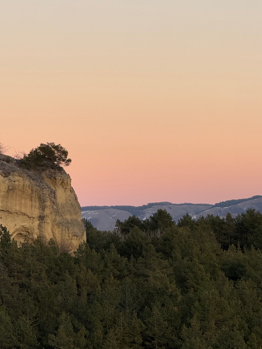 2.Вид с горы Кольцо, январь 2025, фото Сад в стиле Paradise @