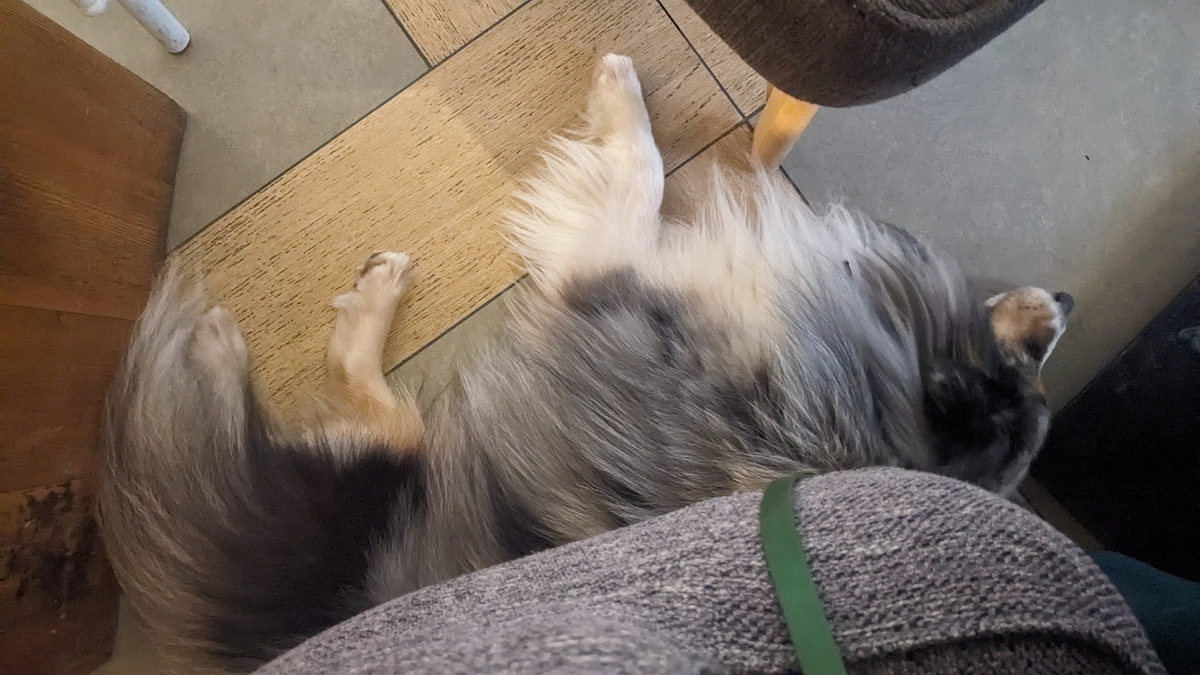 Просто ждёт, пока мы кушаем 