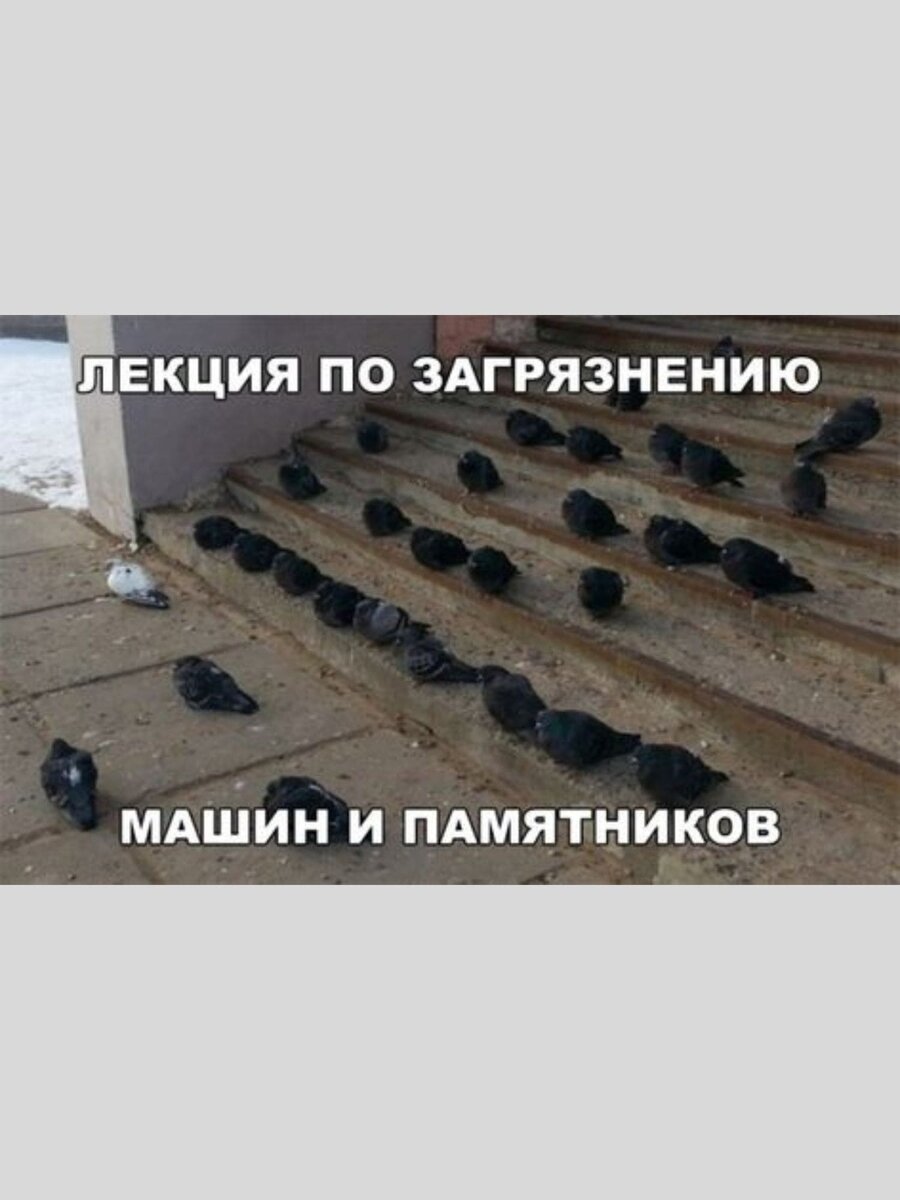 -4
