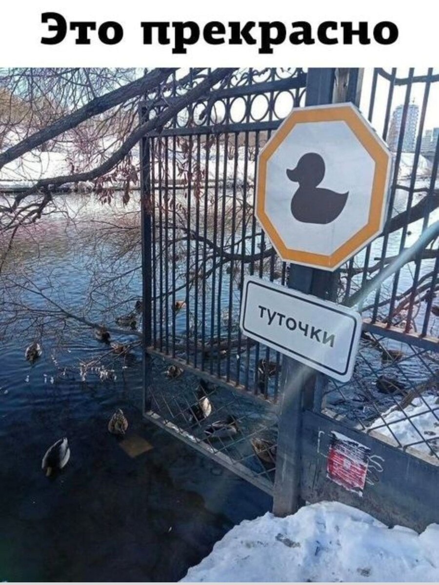 -15