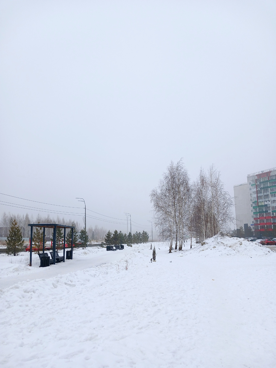 "Доброе утро, мир! Ты прекрасен!" Фото автора