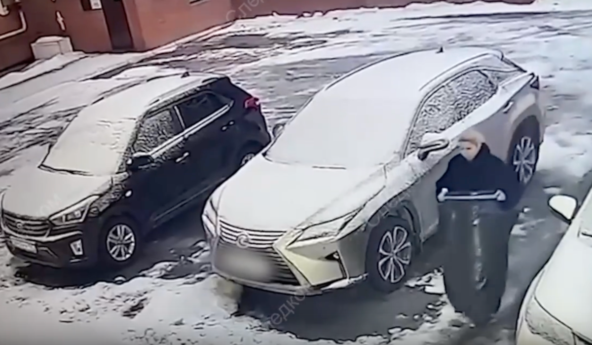     Скриншот с видео. Источник: СК РФ Автор фото: СК РФ