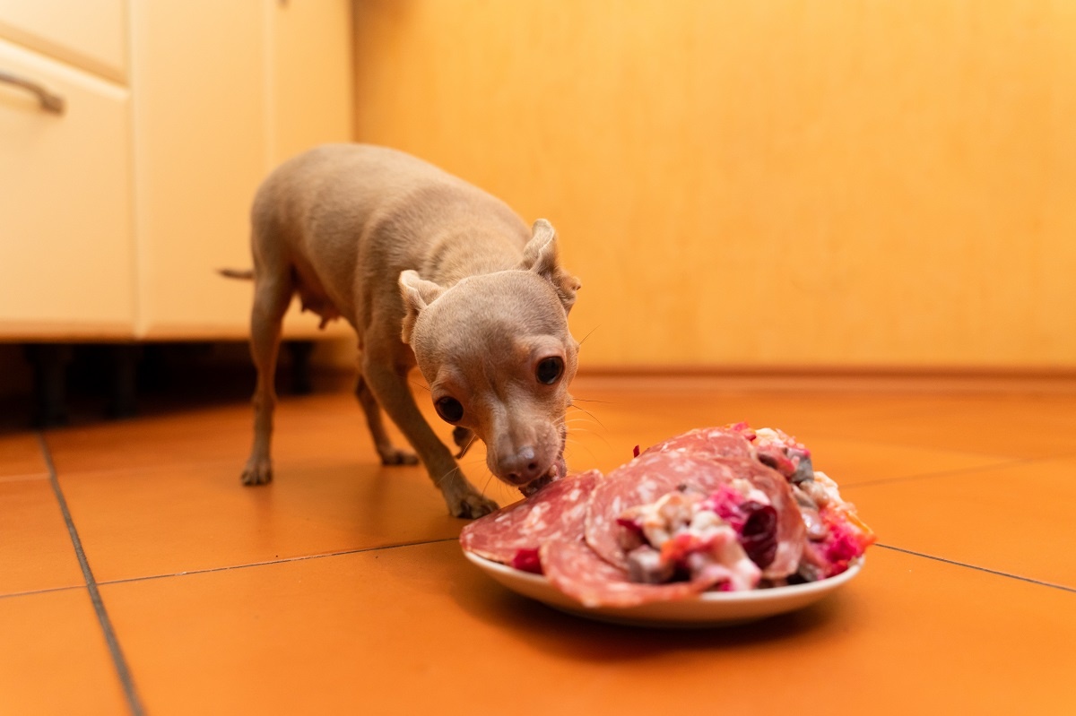 Фото: Александр Плонский / «ВиЖ»