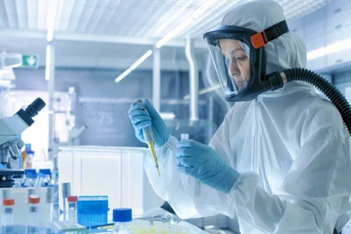    Землеройка заразит?