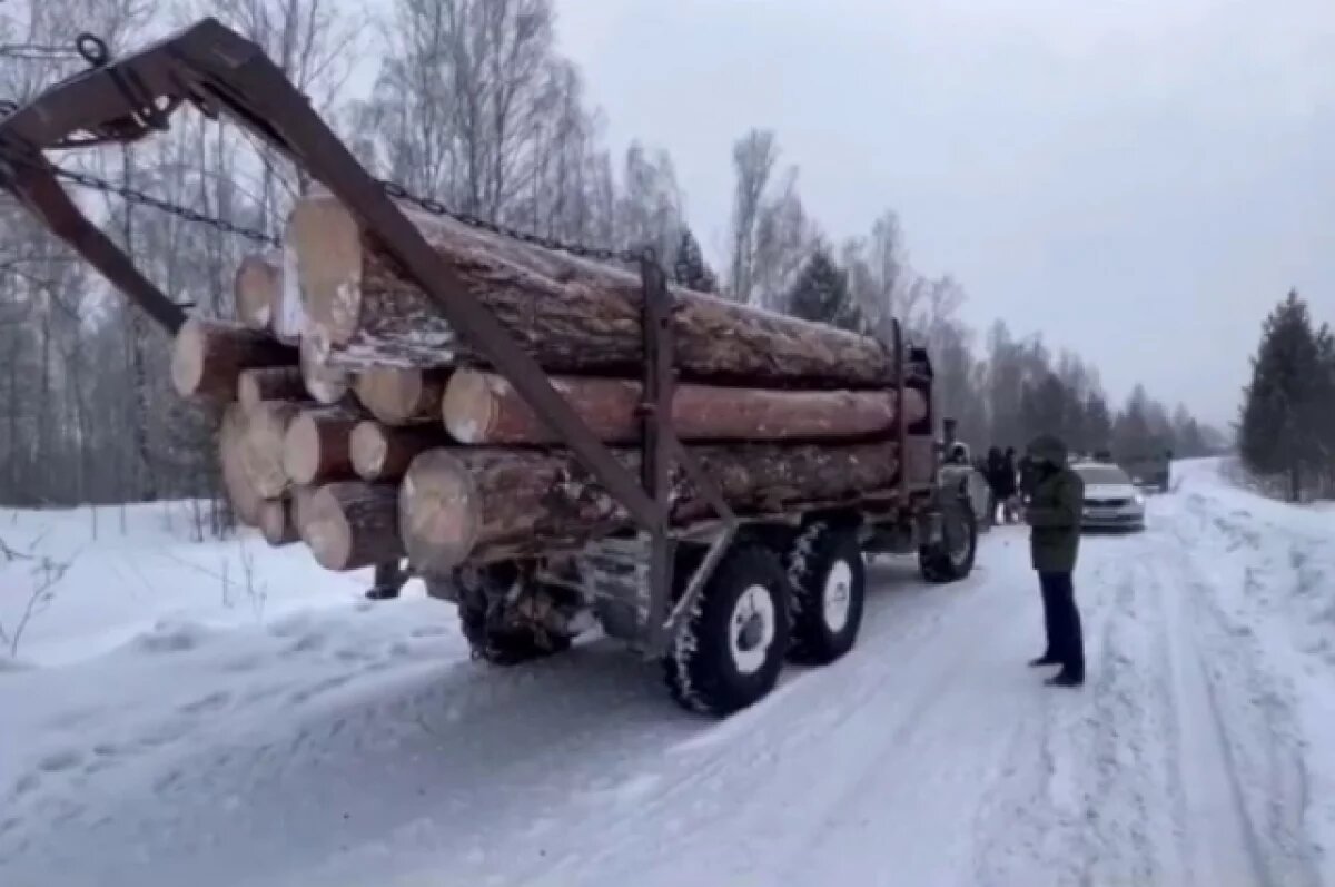    Новосибирцы смогут отслеживать вырубку лесов в режиме онлайн
