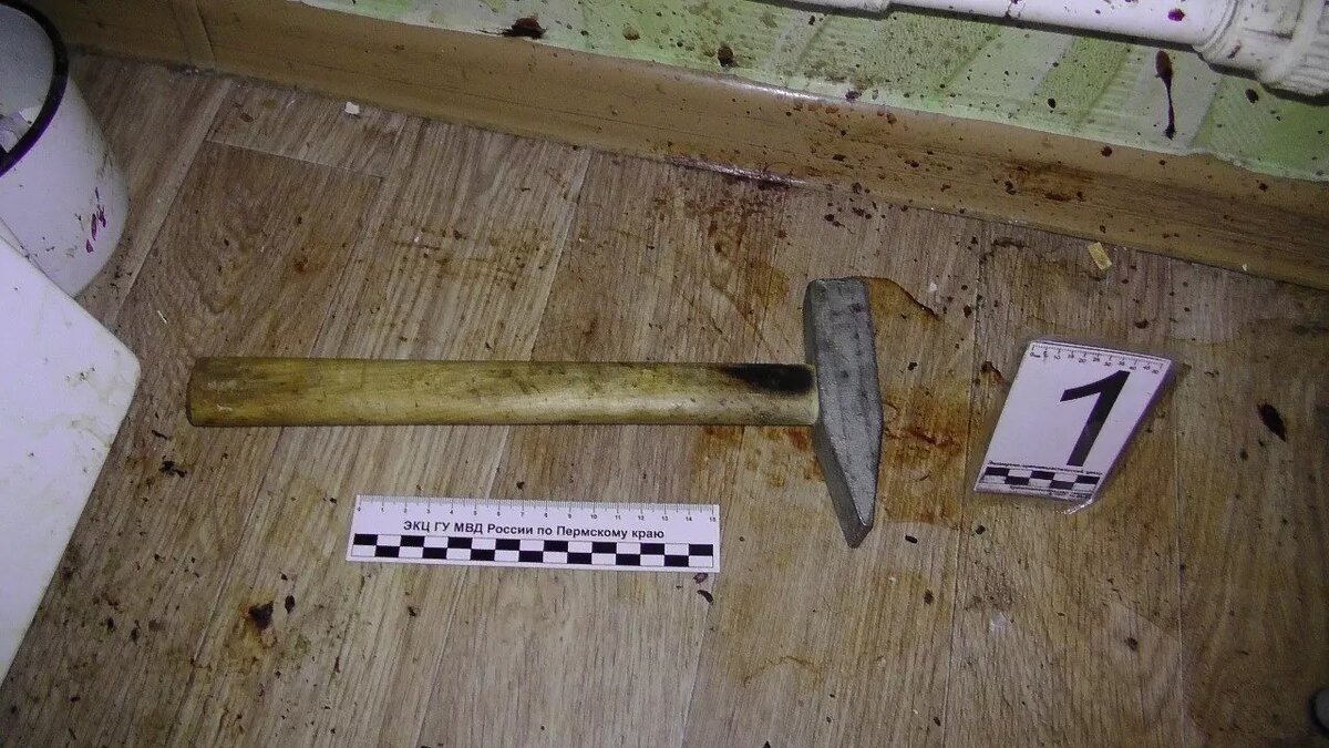     Источник: СУ СКР по Пермскому краю