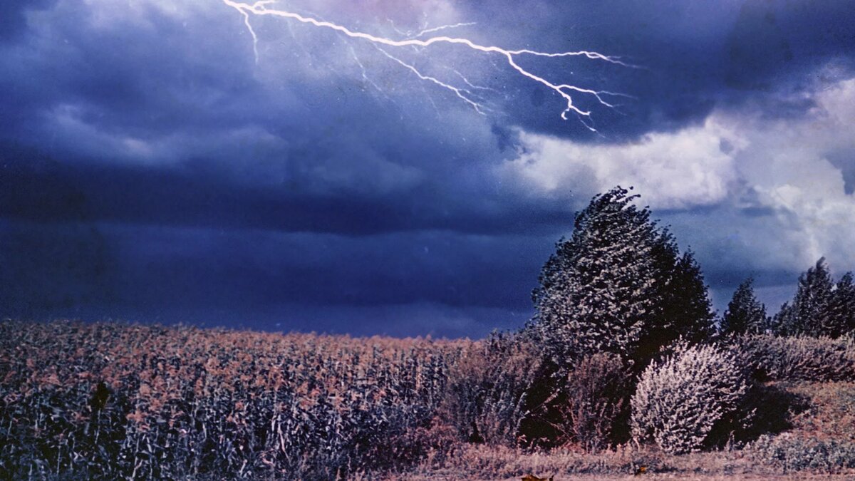 © Sputnik / Алексей Бушкин / Перейти в фотобанк