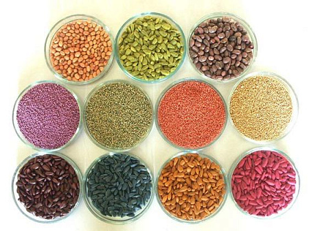 Ссылка на изображение: https://semena-baza.ru/sovety_agronoma/obshchie_voprosy/semena/posevnye_khitrosti/zachem_vokrug_semyan_delayut_obolochku_i_okrashivayut_ikh/