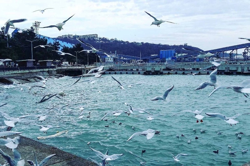 Создать карусельЧто посмотреть в Туапсе зимой❄️
