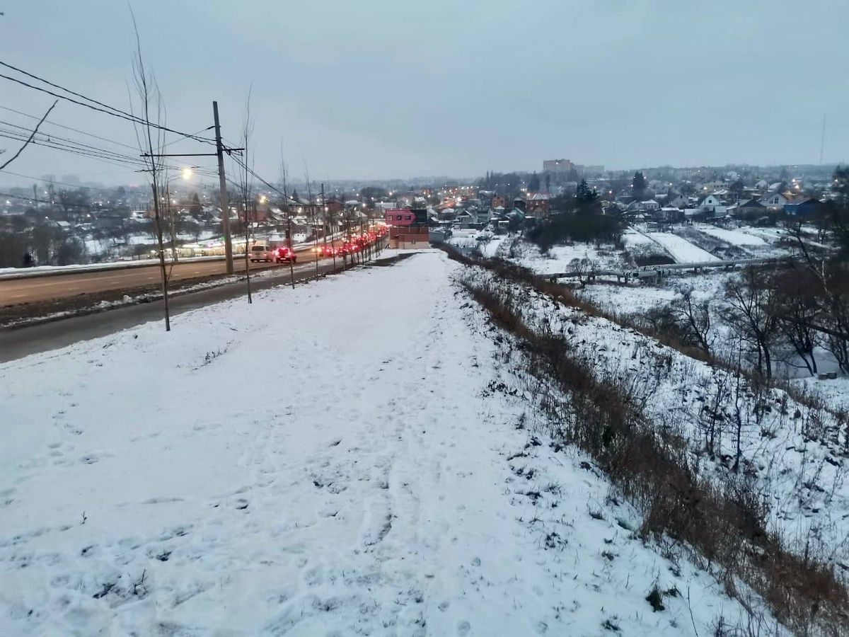    Пару часов назад в Курске на улице Кавказской была замечена лиса