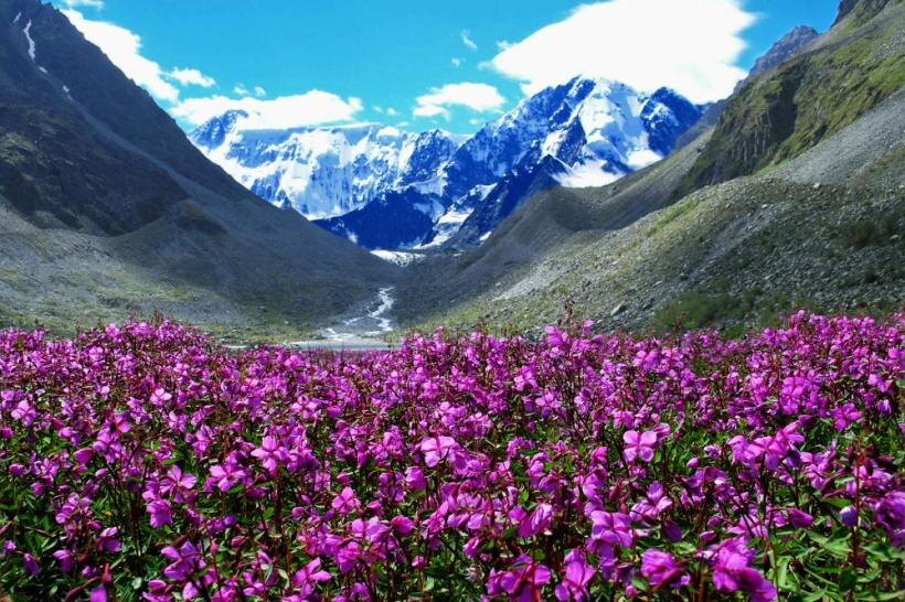 Горный Алтай – самый чистый регион России