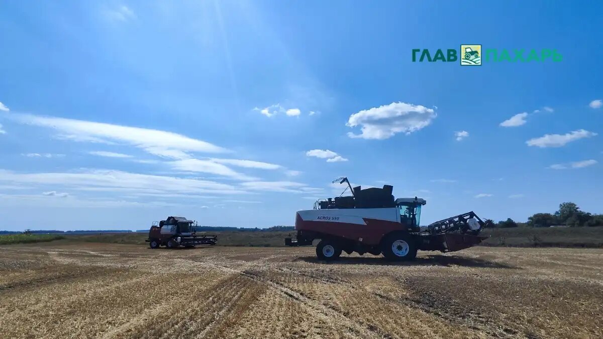 Фото: © Артем Борисов / Glavpahar.ru
Аграрии Запорожской области активно обновляют парк сельхозтехники (фото иллюстративное)