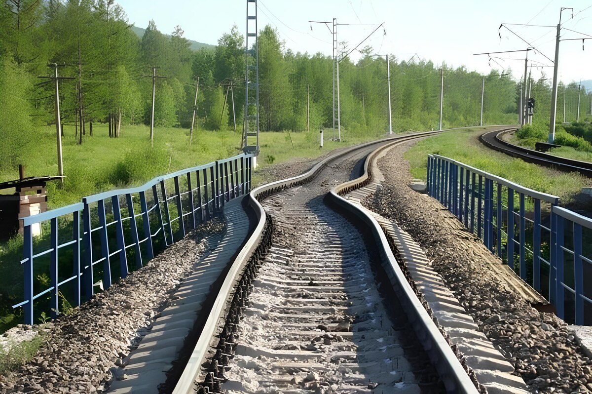 Фото взято из открытых источников