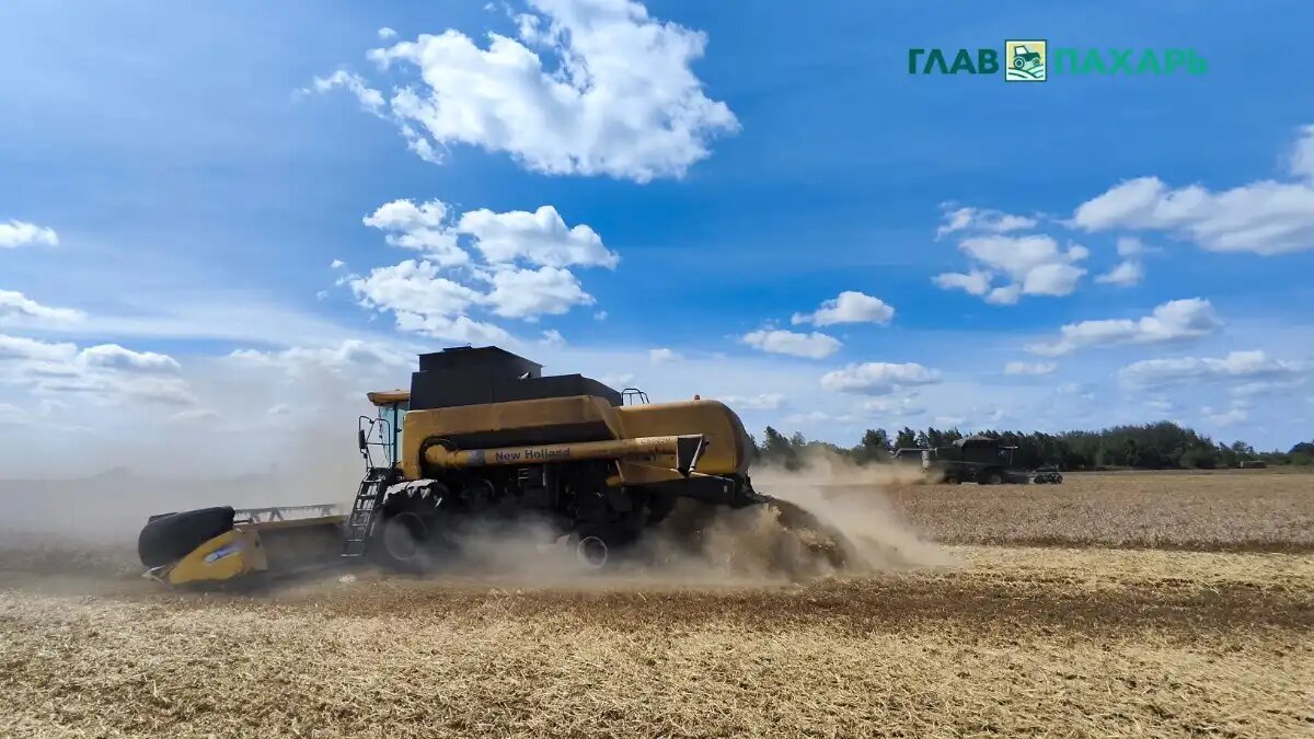 Фото: © Артем Борисов / Glavpahar.ru
Фотография носит иллюстративный характер