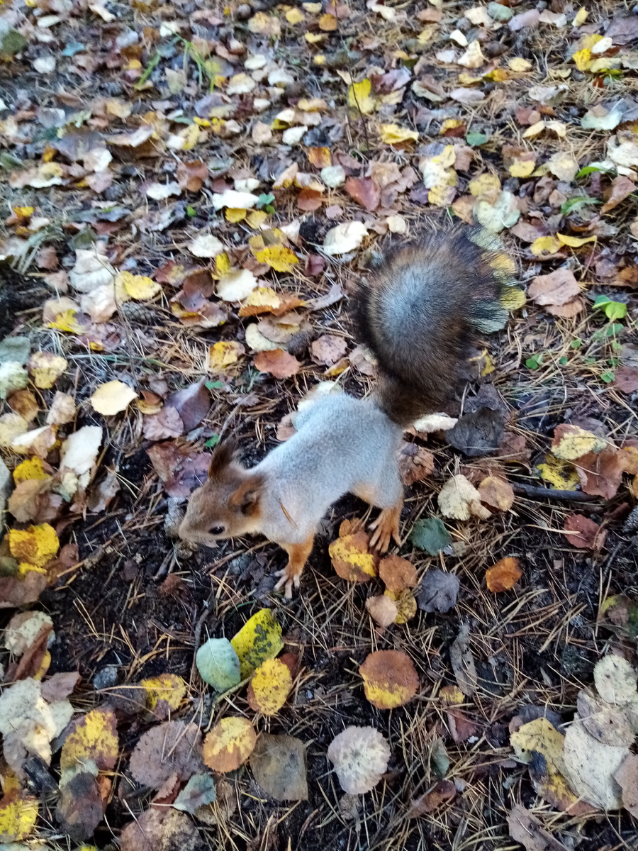 Фото автора