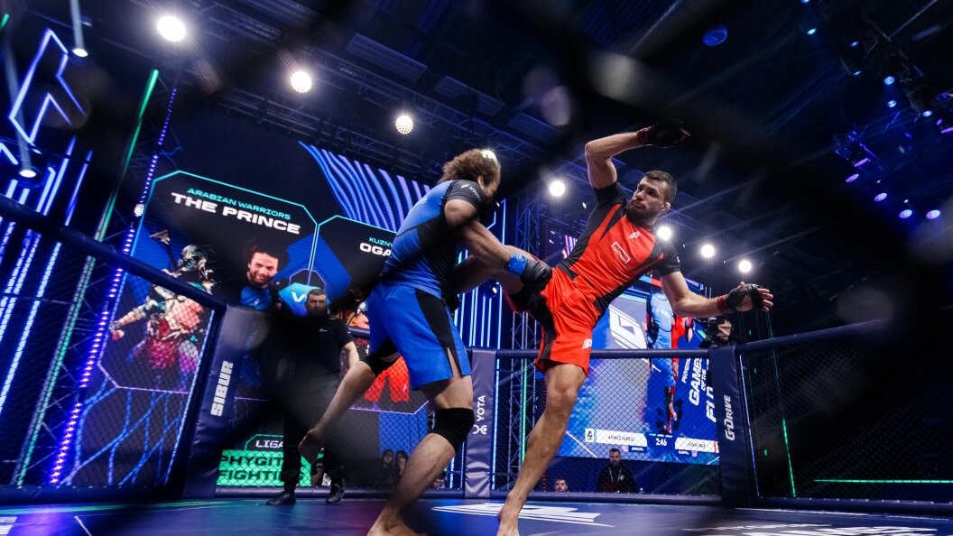    Бойцы ММА в бою используют приемы различных единоборств. Фото: Sergey Elagin/Globallookpress