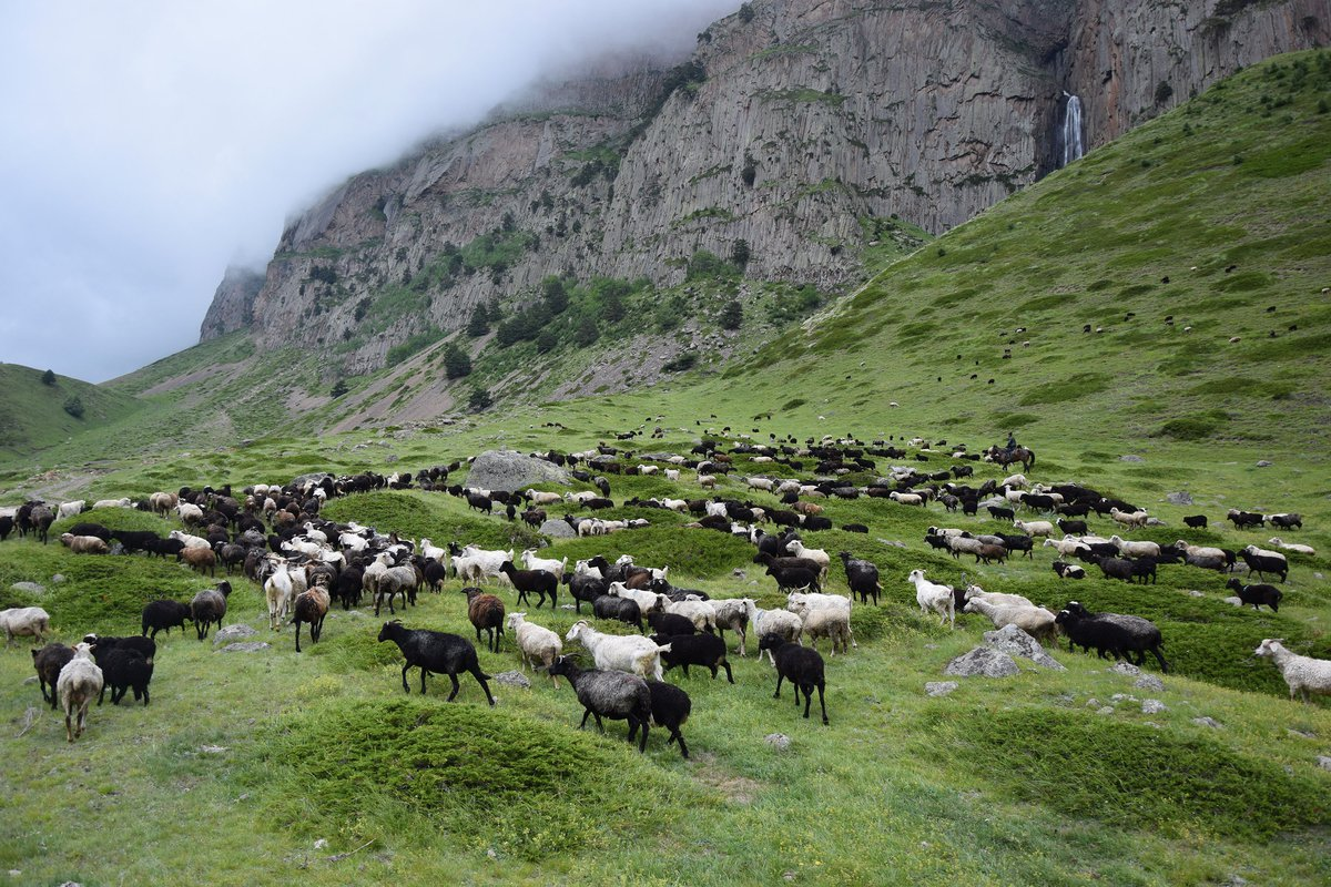 Фото из открытых источников интернет