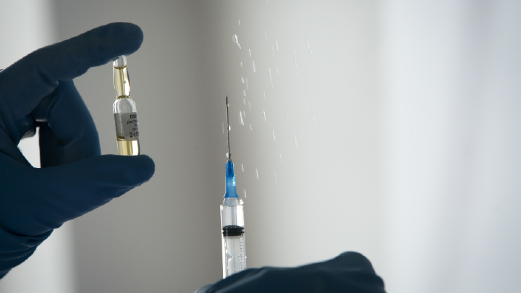    Фото: © NIKOLAY GYNGAZOV/GLOBALLOOKPRESS