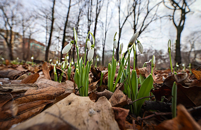    Серегй Ильницкий/ЕРА/ТАСС