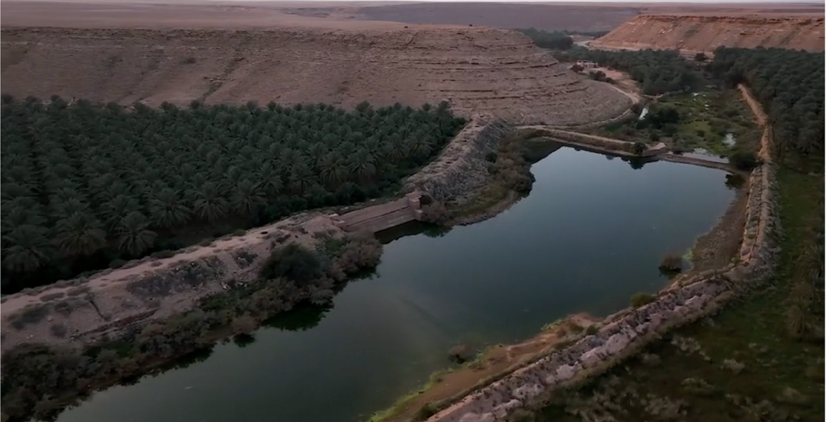 Финиковые сады Судейри