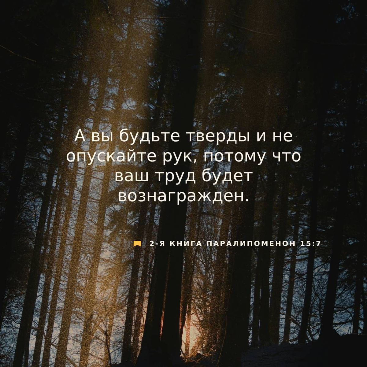 2 Паралипоменон 15:7 НРП