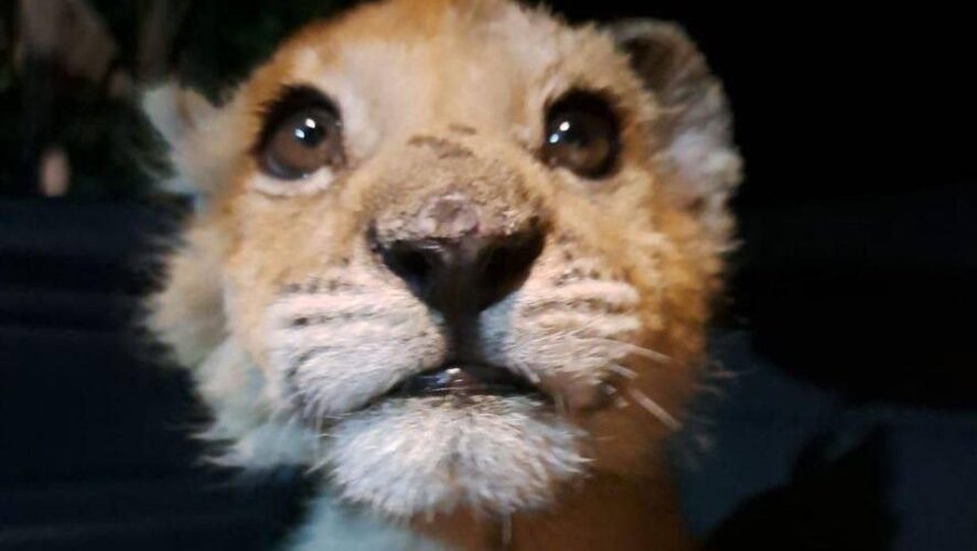    Фото: Прокуратура Москвы