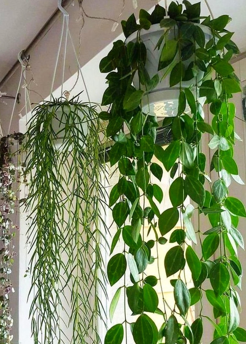 Фото интернет