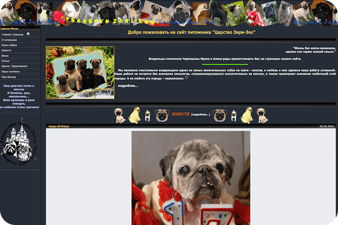 Мы видим много очаровательных мопсов, но нам не понятно, чего от хотят.