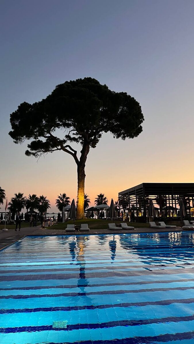 Одна из первых картинок Египта, которую я сохранила - риксос вроде 