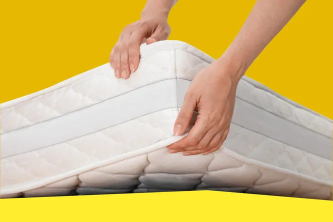    Редакционный коллаж/Liudmila Chernetska/Getty Images