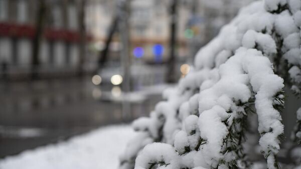    © РИА Новости Крым