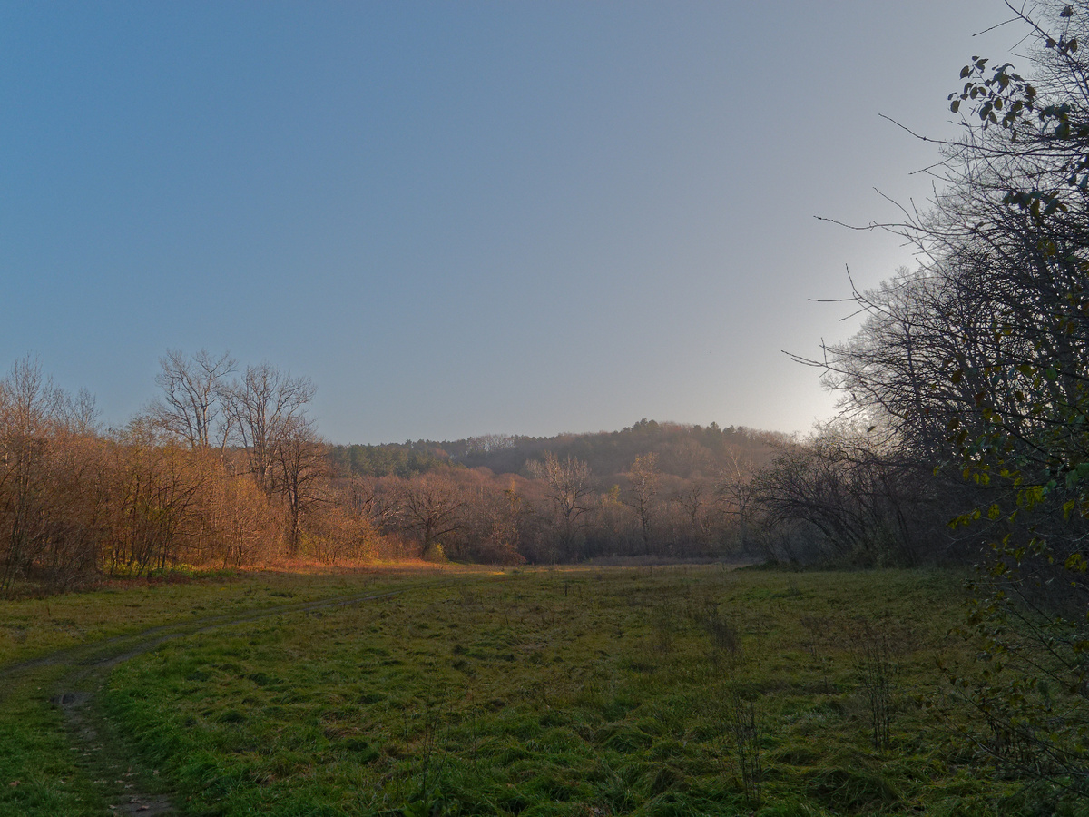 Полвека назад, здесь было Комсомольское озеро.