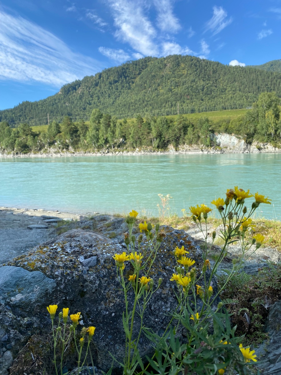 Рядом с домом река Катунь