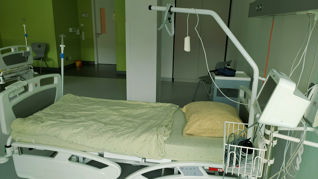    виктор лисицын/Globallookpress