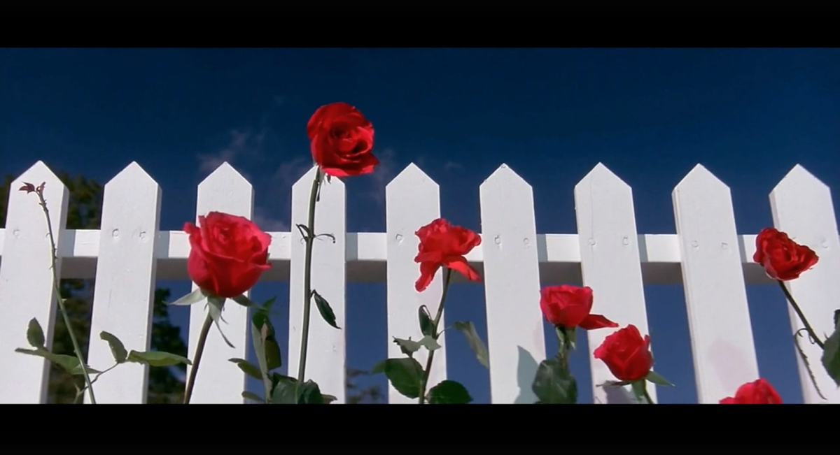 Кадры из фильма "Синий бархат"