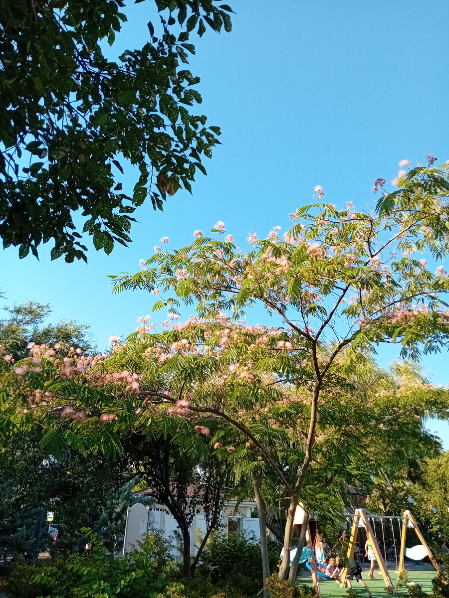 Авторское фото. 